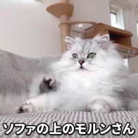ソファに座るモルンさん