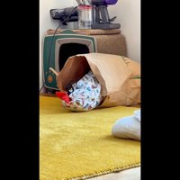 斜め後ろから