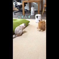 うずうず