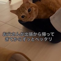 テーブルの下で足を伸ばす男性