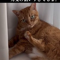 「真っ白でハートのパンツ...」のテロップ写真