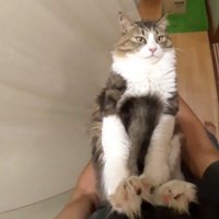 視線を外して