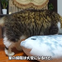 掃除は大変になるけど