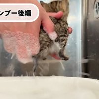 泡が飛び散って