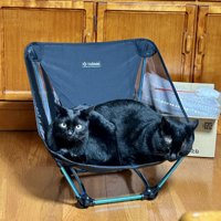 キャンプ用のイスの左右にバランスよく乗る2匹の黒猫