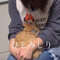 子猫を包み込むお母さん
