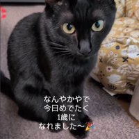 誕生日