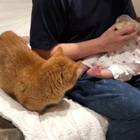 赤ちゃんをガン見