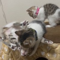 隅っこギリギリのふたり