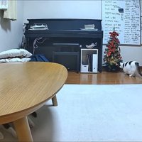 オデコちゃんと豆大福くん