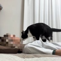 体の上へ