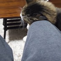 膝にスリッ