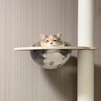 ラスボスみたいな猫