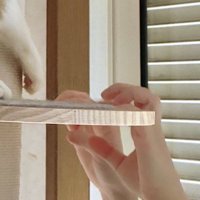 キャットタワーに手を乗せる飼い主