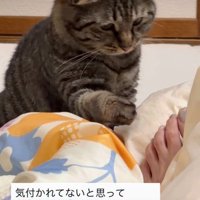 足先に前足を伸ばす猫