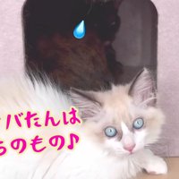 わたちのもの♪