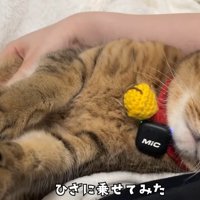 仰向け