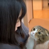 飼い主さんに抱っこされる猫