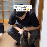 猫と男性