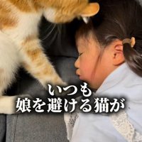 眠る娘を見つめる猫