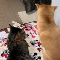 ふたりの後ろ姿