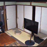 猫を抱き上げる男性