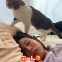 ふーん