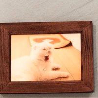 猫の写真を額縁に