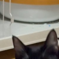 上へ