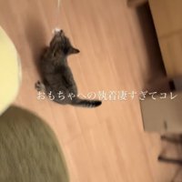 「おもちゃへの執着凄すぎてコレ」のテロップ写真3