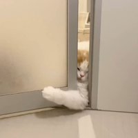 腕を動かして