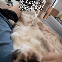 寝転んでいる人と猫