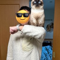 肩の上に乗る猫