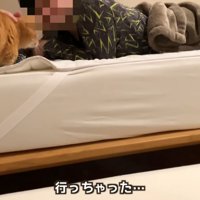テロップ「行っちゃった…」