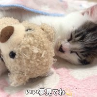 テロップ「いい夢見てね」