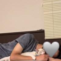 横になって飼い主の手を甘噛みしている猫