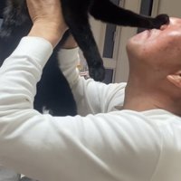 抱っこされる猫の写真4