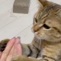 おやつをみつけたみにらくん