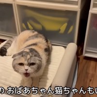 テロップ「16歳の～」