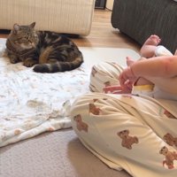 抱っこされる赤ちゃんを見つめて