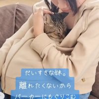 女の子のパーカーの中に入っている猫と猫を撫でる女の子