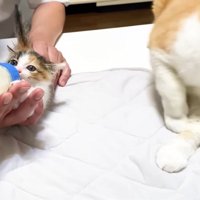 去っていくむぎくん