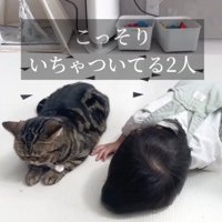 床の上に寝そべる猫と赤ちゃん