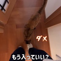もう入っていい？