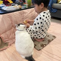 正座をする男の子と猫