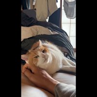 こちらを向いた姿