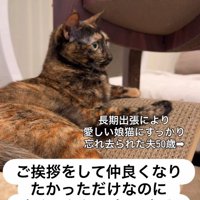 忘れた