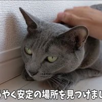安心の位置を確定