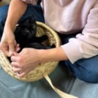 男性と黒猫