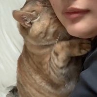 くっついている飼い主と猫